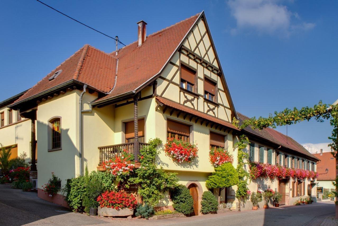 Gite Fleur De Vignes Itterswiller Kültér fotó