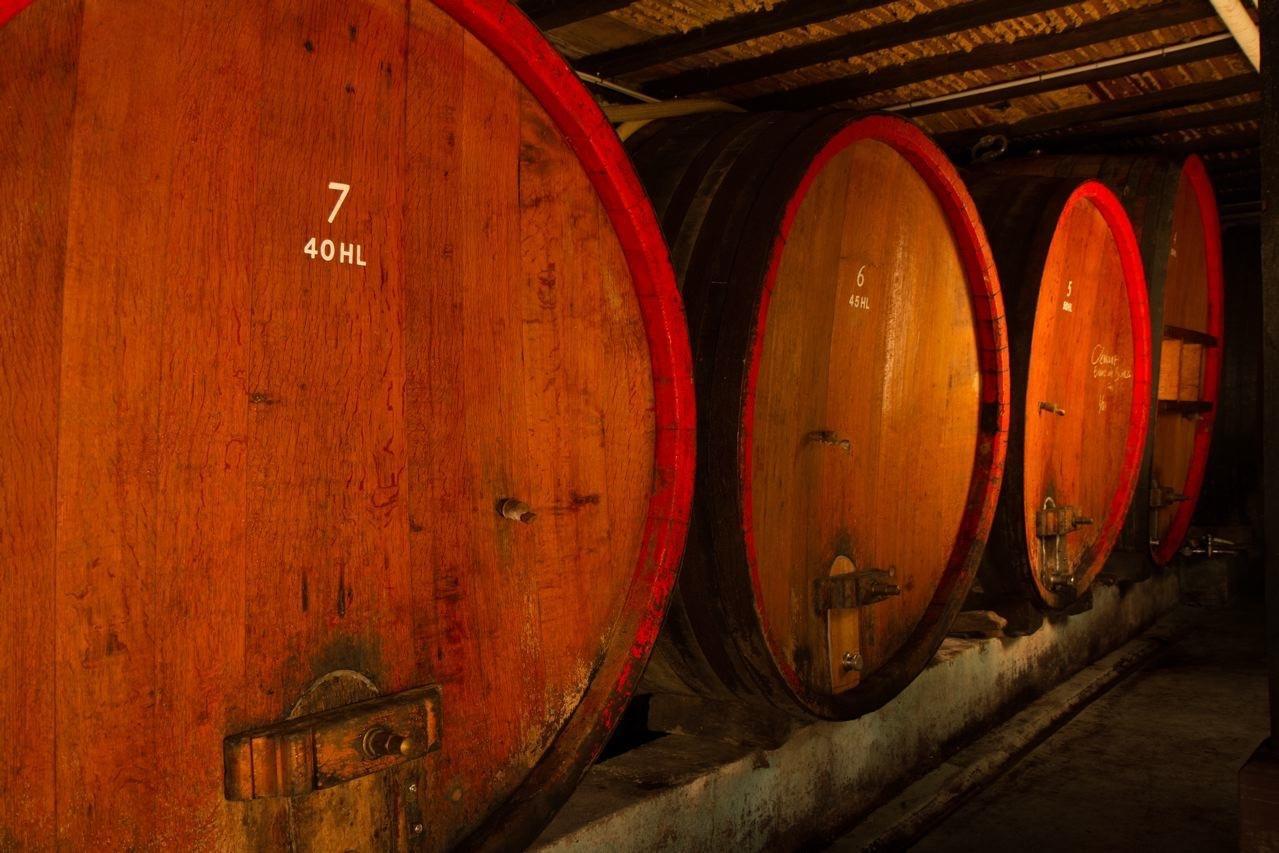 Gite Fleur De Vignes Itterswiller Kültér fotó