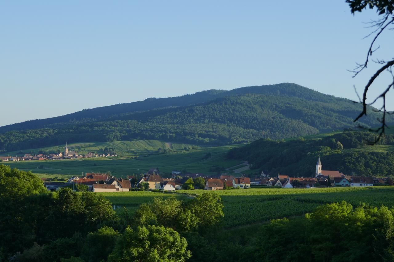 Gite Fleur De Vignes Itterswiller Kültér fotó
