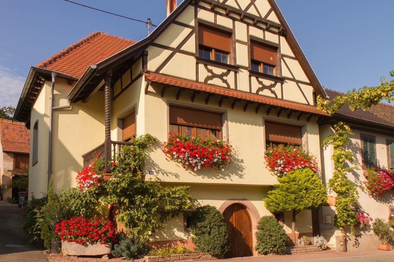 Gite Fleur De Vignes Itterswiller Kültér fotó